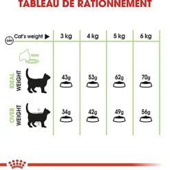 Royal Canin - Croquettes Digestive Care pour Chat