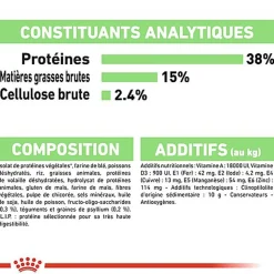 Royal Canin - Croquettes Digestive Care pour Chat