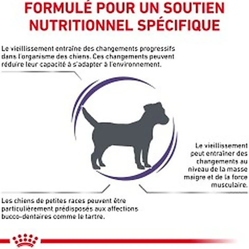 Royal Canin - Croquettes Expert Mature Consult Small Dogs pour Chiens - 3,5Kg