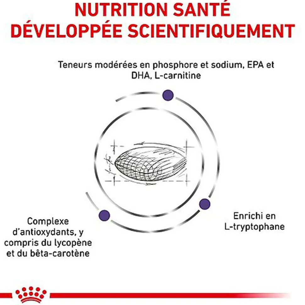 Royal Canin - Croquettes Expert Mature Consult Small Dogs pour Chiens - 3,5Kg