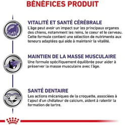 Royal Canin - Croquettes Expert Mature Consult Small Dogs pour Chiens - 3,5Kg