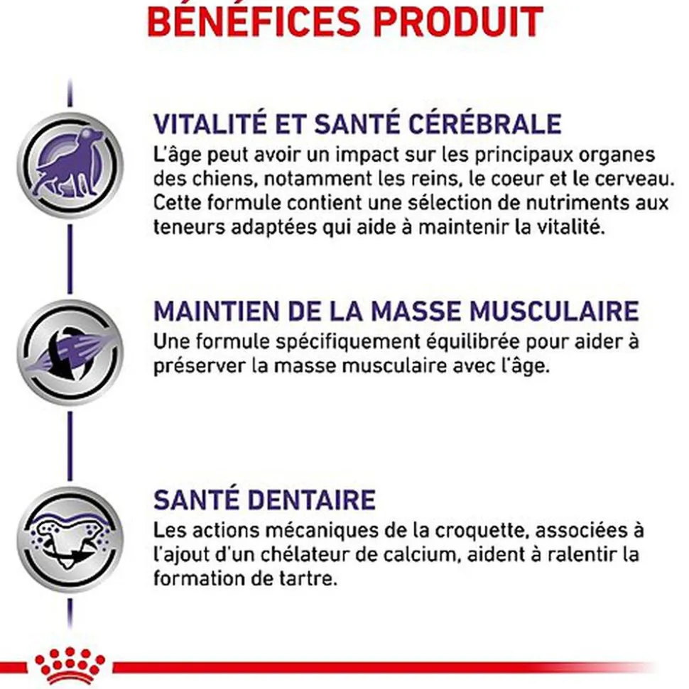 Royal Canin - Croquettes Expert Mature Consult Small Dogs pour Chiens - 3,5Kg