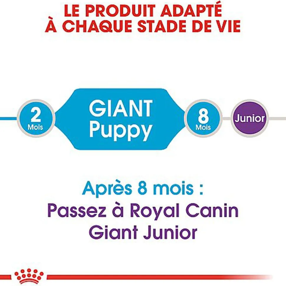 Royal Canin - Croquettes Giant Puppy pour Chiot