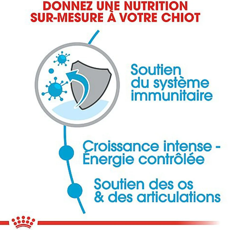 Royal Canin - Croquettes Giant Puppy pour Chiot