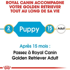 Royal Canin - Croquettes Golden Retriever Junior pour Chiot - 12Kg