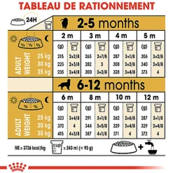 Royal Canin - Croquettes Golden Retriever Junior pour Chiot - 12Kg