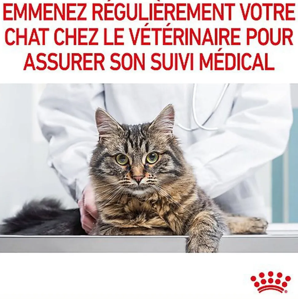 Royal Canin - Croquettes Hair & Skin Care pour Chat