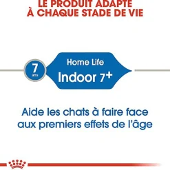 Royal Canin - Croquettes Indoor 7+ pour Chat Senior