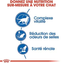 Royal Canin - Croquettes Indoor 7+ pour Chat Senior