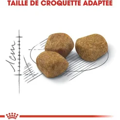 Royal Canin - Croquettes Indoor 7+ pour Chat Senior