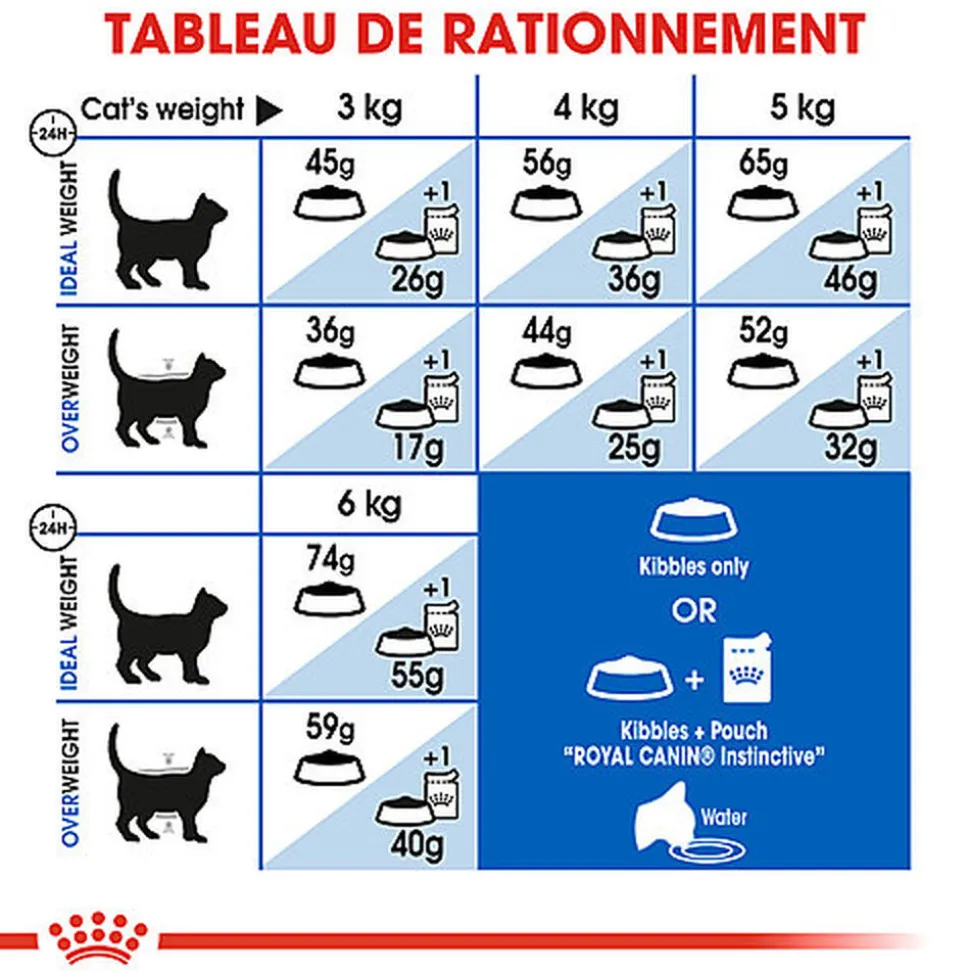 Royal Canin - Croquettes Indoor 27 pour Chat - 10Kg
