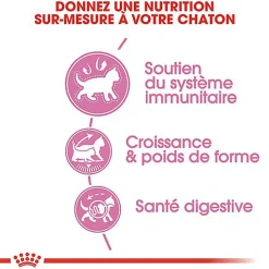 Royal Canin - Croquettes Kitten Sterilised pour Chaton