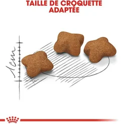 Royal Canin - Croquettes Kitten Sterilised pour Chaton