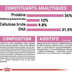 Royal Canin - Croquettes Kitten Sterilised pour Chaton
