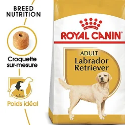 Royal Canin - Croquettes Labrador pour Chien Adulte