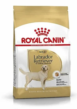 Royal Canin - Croquettes Labrador pour Chien Adulte