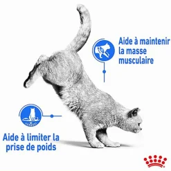 Royal Canin - Croquettes Light Weight Care pour Chat - 400g