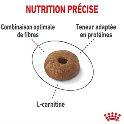 Royal Canin - Croquettes Light Weight Care pour Chat - 400g