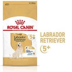 Royal Canin - Croquettes Labrador Adult 5+ Pour Chien