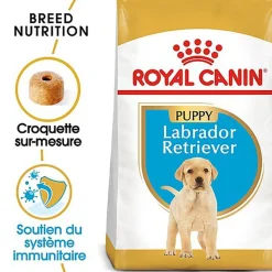 Royal Canin - Croquettes Labrador Junior pour Chiot - 12Kg