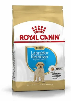Royal Canin - Croquettes Labrador Junior pour Chiot - 12Kg