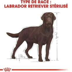Royal Canin - Croquettes Labrador Pour Chien Stérilisé