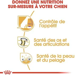 Royal Canin - Croquettes Labrador Pour Chien Stérilisé