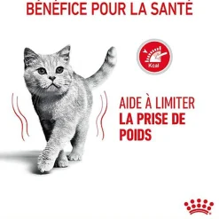 Royal Canin - Croquettes Light Weight Care pour Chat