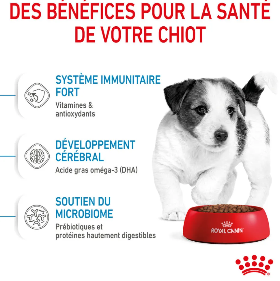 Royal Canin - Croquettes Mini Puppy pour Chiot de 2 à 10 mois