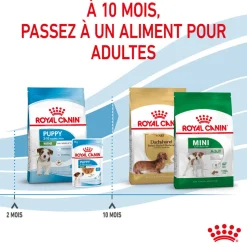 Royal Canin - Croquettes Mini Puppy pour Chiot de 2 à 10 mois