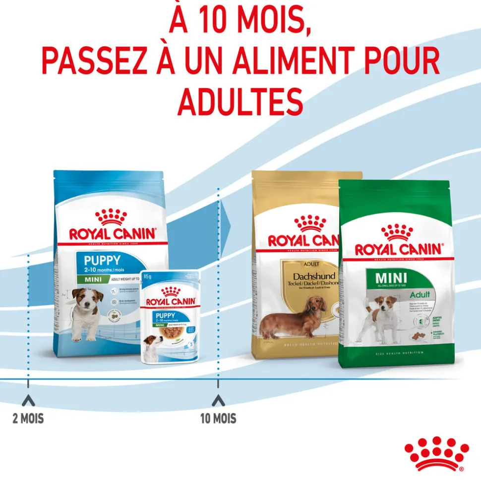 Royal Canin - Croquettes Mini Puppy pour Chiot de 2 à 10 mois