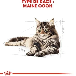 Royal Canin - Croquettes Maine Coon pour Chat Adulte
