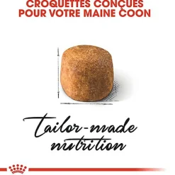 Royal Canin - Croquettes Maine Coon pour Chat Adulte
