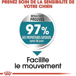 Royal Canin - Croquettes MAXI JOINT CARE pour Chien