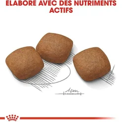 Royal Canin - Croquettes MAXI JOINT CARE pour Chien