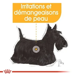 Royal Canin - Croquettes Mini Dermacomfort pour Chien
