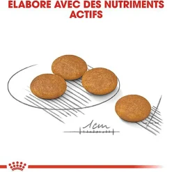 Royal Canin - Croquettes Mini Dermacomfort pour Chien