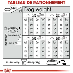 Royal Canin - Croquettes Mini Dermacomfort pour Chien