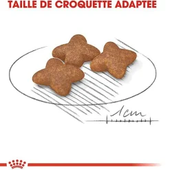 Royal Canin - Croquettes Mini Adult pour Chien de Petite Taille