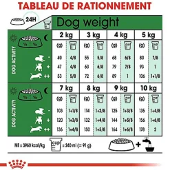 Royal Canin - Croquettes Mini Adult pour Chien de Petite Taille