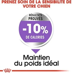 Royal Canin - Croquettes Medium Adult Sterilised pour Chien