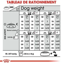 Royal Canin - Croquettes Medium Adult Sterilised pour Chien