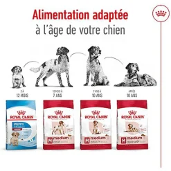 Royal Canin - Croquettes Medium Ageing 10+ pour Chien Senior