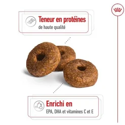 Royal Canin - Croquettes Medium Ageing 10+ pour Chien Senior