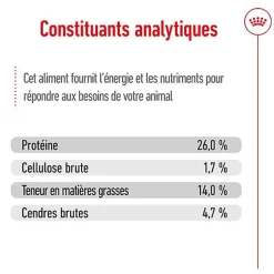 Royal Canin - Croquettes Medium Ageing 10+ pour Chien Senior