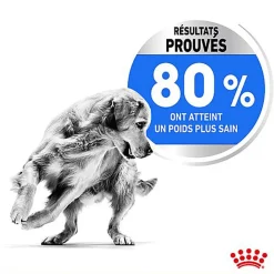 Royal Canin - Croquettes Medium Adult Light Weight Care pour Chien
