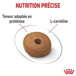 Royal Canin - Croquettes Medium Adult Light Weight Care pour Chien