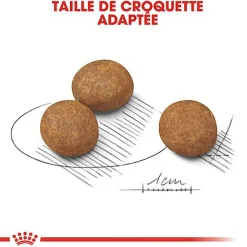 Royal Canin - Croquettes Maxi Puppy pour Chiot
