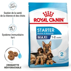 Royal Canin - Croquettes Maxi Starter Mother & Babydog pour Chiot