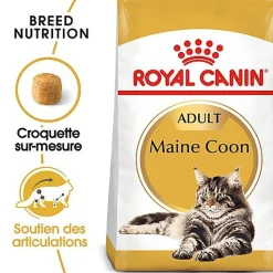 Royal Canin - Croquettes Maine Coon pour Chat Adulte - 4Kg